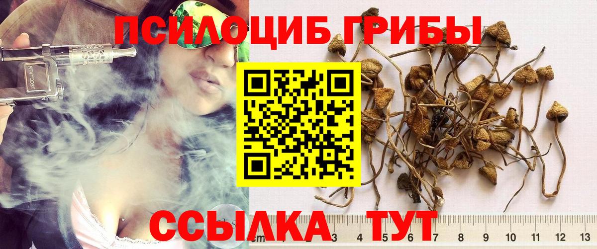 Псилоцибиновые грибы прущие грибы Таганрог