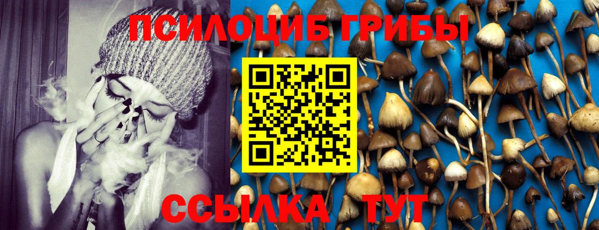 Таганрог  Псилоцибиновые грибы прущие грибы  Вход с VPN 